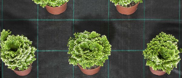 MIA Weedkiller vävd 525m2