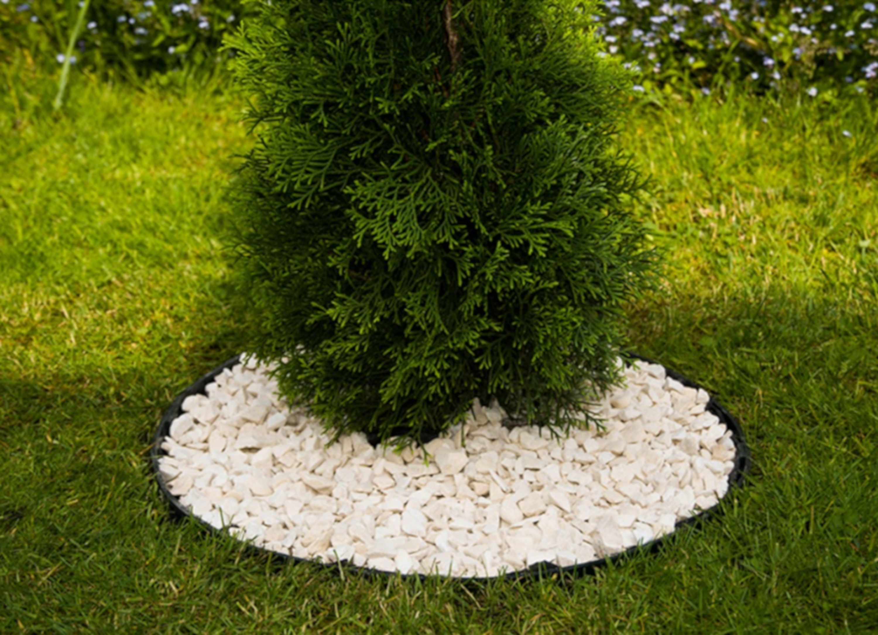 Kantlist SE60 60x800mm grön