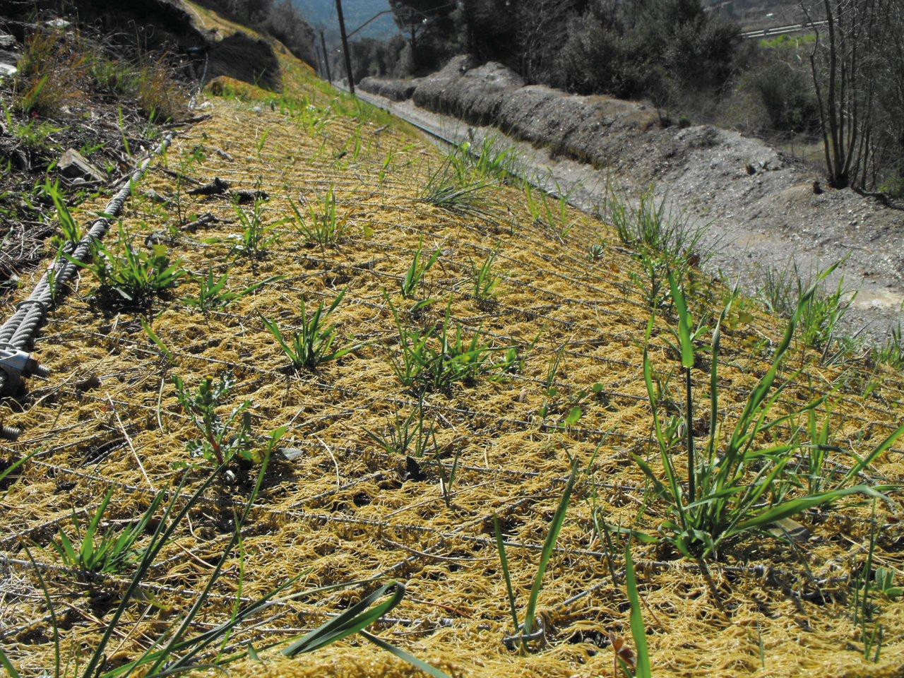 Bergsäkring GREENAX®